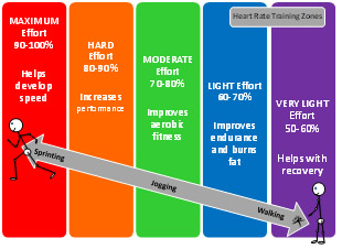 heart rate chart